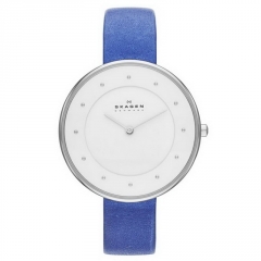 Ремешок Skagen SKW2172
