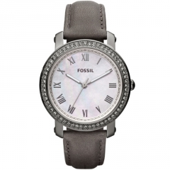 Ремешок Fossil ES3188