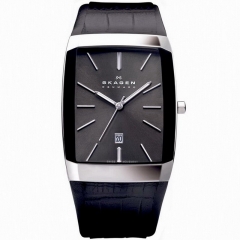 Ремешок Skagen 984LSLB
