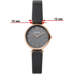 Ремешок Skagen SKW2995