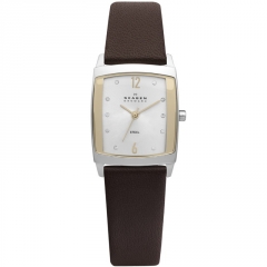 Ремешок Skagen 691SSLG