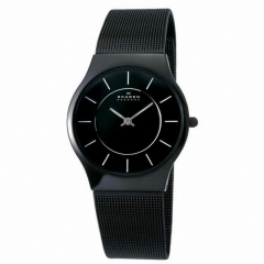 Ремешок Skagen 233LTMB