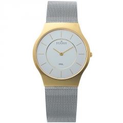 Ремешок Skagen 233LGS