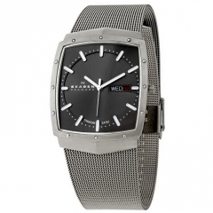 Ремешок Skagen 396LTTM