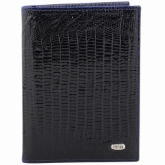 Обложка для автодокументов Petek 584.41V+M52.F60