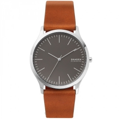 Ремешок Skagen SKW6552