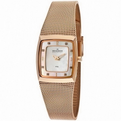 Ремешок Skagen 380XSRR1