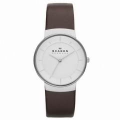 Ремешок Skagen SKW2058