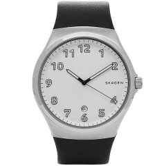 Ремешок Skagen SKW6268