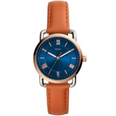 Ремешок Fossil ES4825