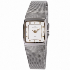 Ремешок Skagen 380XSGS1