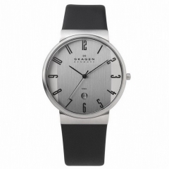 Ремешок Skagen 355XLSLB