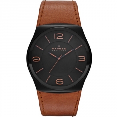 Ремешок Skagen SKW6040