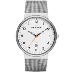Ремешок Skagen SKW6025