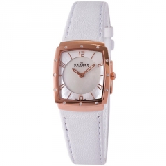 Ремешок Skagen 396XSRLW