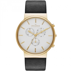 Ремешок Skagen SKW6143