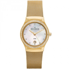 Ремешок Skagen SKW2040