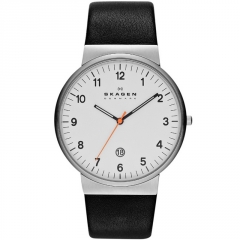 Ремешок Skagen SKW6024