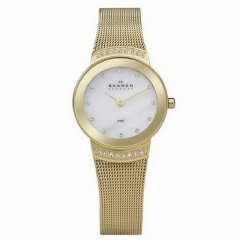 Ремешок Skagen 812SGG