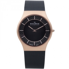 Ремешок Skagen 803XLTRB