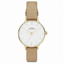 Ремешок Skagen SKW2146