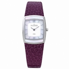 Ремешок Skagen 855SSLVV