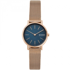 Ремешок Skagen SKW2837