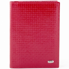 Обложка для автодокументов Petek 584.020R.10