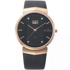 Ремешок Skagen 697XLRLB