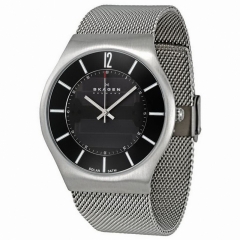 Ремешок Skagen 833XLSSB1