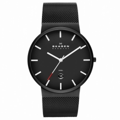 Ремешок Skagen SKW6053
