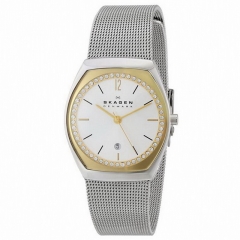 Ремешок Skagen SKW2050