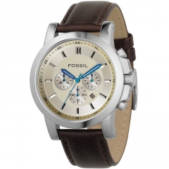 Ремешок Fossil FS4248