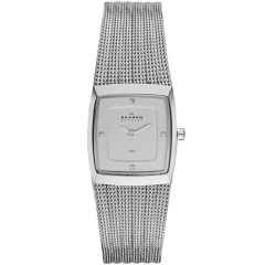 Ремешок Skagen 380XSSS1