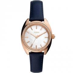 Ремешок Fossil BQ3775