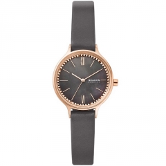 Ремешок Skagen SKW2909