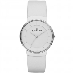 Ремешок Skagen SKW2057