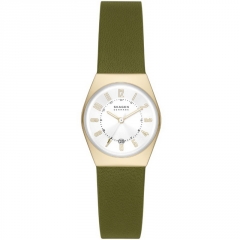 Ремешок Skagen SKW3048