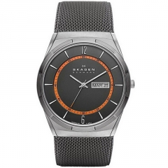 Ремешок Skagen SKW6007