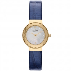 Ремешок Skagen SKW2125