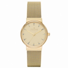 Ремешок Skagen SKW2196