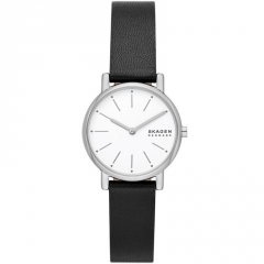 Ремешок Skagen SKW3120