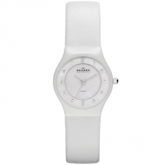 Ремешок Skagen 233XSCLW