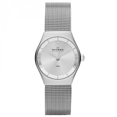 Ремешок Skagen SKW2044