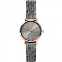 Ремешок Skagen SKW2996
