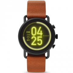 Ремешок Skagen SKT5201