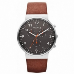 Ремешок Skagen SKW6099