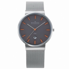 Ремешок Skagen 351LSSMO
