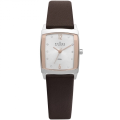 Ремешок Skagen 691SSLR