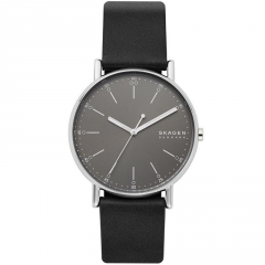 Ремешок Skagen SKW6654